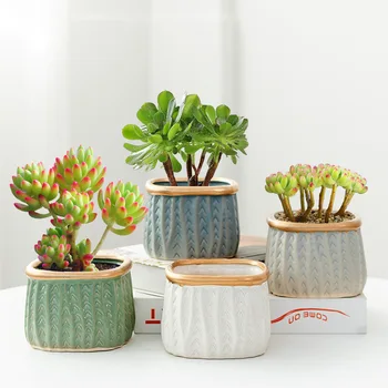 Очаровательная керамическая сеялка для небольших растений - идеально подходит для суккулентов и кактусов